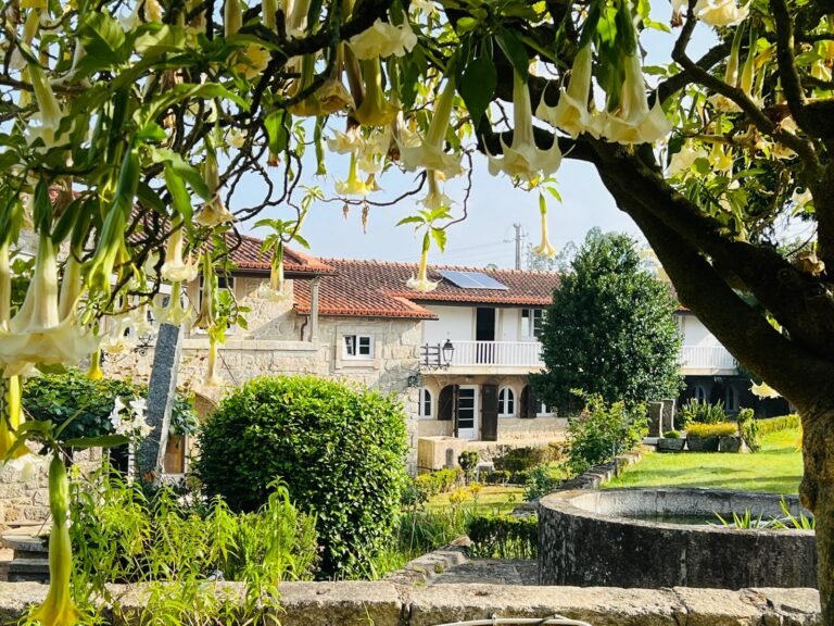 17 Maio | FARM TO TABLE — QUINTA ESMERALDA​